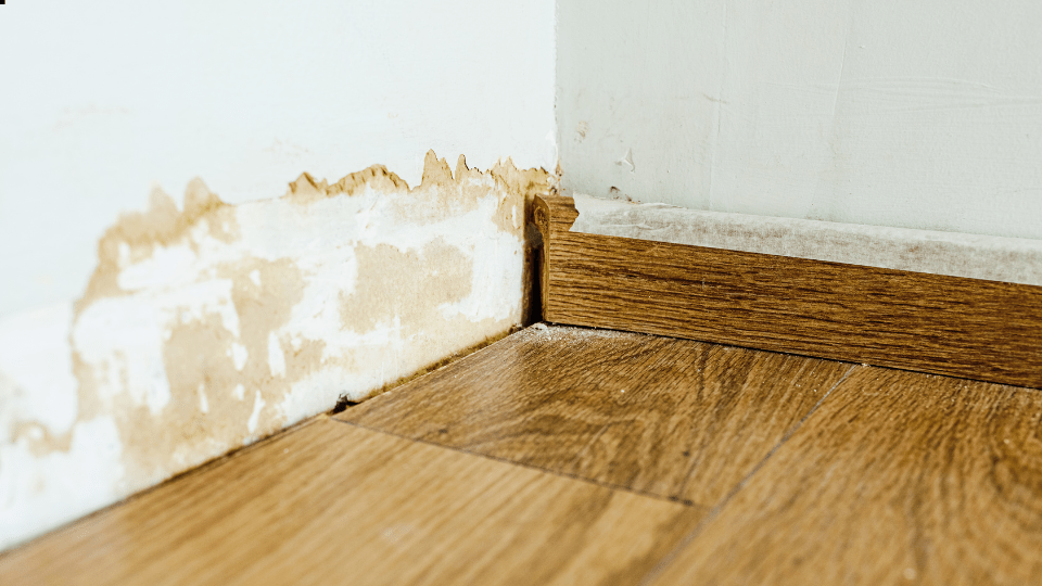Fugtig kælder renovering: Kom problemerne i forkøbet - ISO-Team Danmark